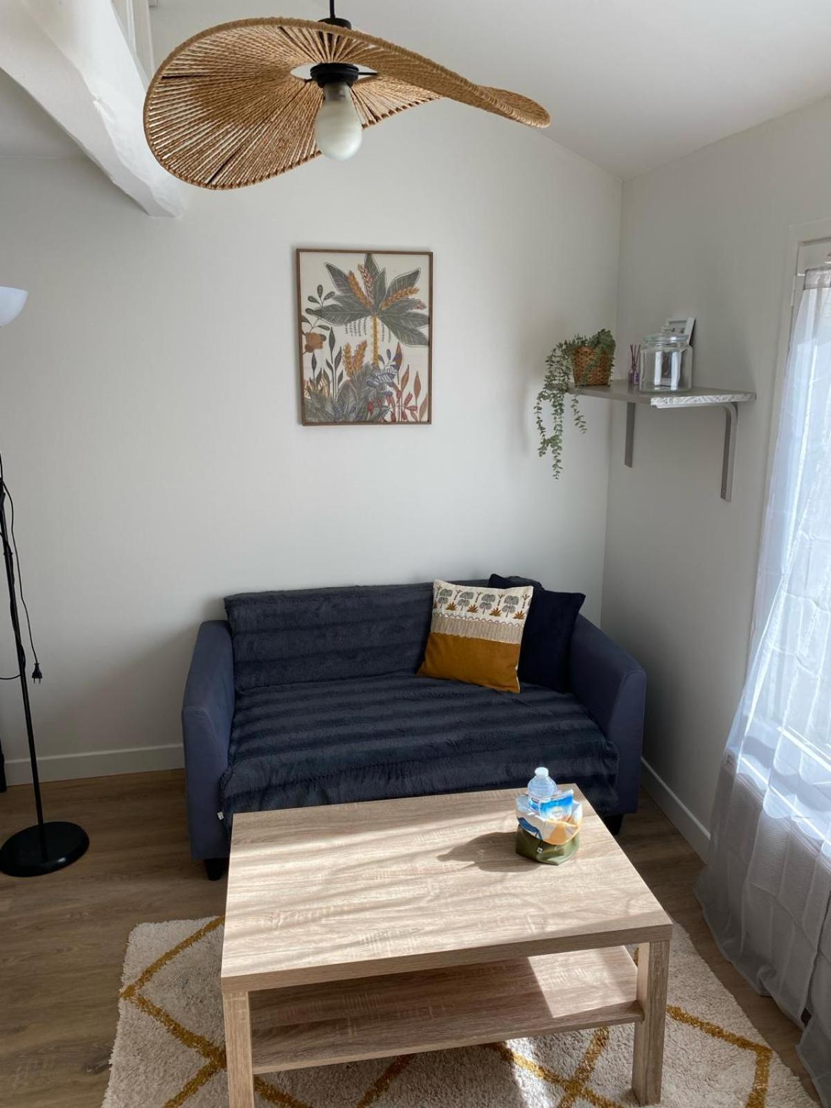 Apartmán Petit Nid Cosy - Proche Des Ecoles Et Entreprises Orsay Exteriér fotografie